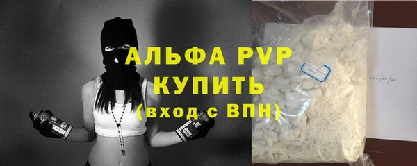 стафф Аркадак