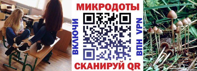 Галлюциногенные грибы Magic Shrooms  Козьмодемьянск 